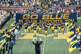 Image result for Michigan Blue 2009 Fleet