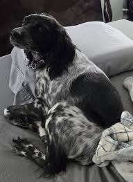 My girl needs someone who can hit a bird. Anyone interested in going out  Tuesday? I'm in Gardnerville.