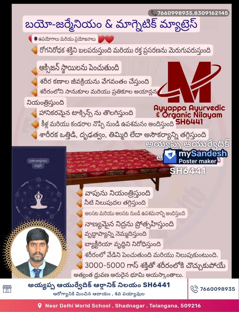 Bio Germany bed product image