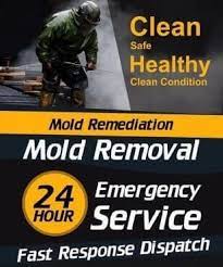 Mold inspection texas usa dcg environmental, llc mold removal & damage restoration company carpet cleaning lewisville tx catstrong mold inspection and removal of bellaire. Mold Inspection Katy Tx And Remediation Fire Restoration Commercial And Tpo Roof Contractor