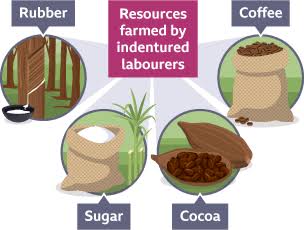 Indian migration and indentured labour - The British Empire - KS3 History - homework help for year 7, 8 and 9. - BBC Bitesize