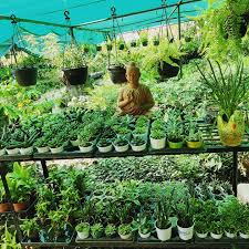 We last found new home garden nursery promo codes on august 17, 2020. My Garden Nursery Home Facebook