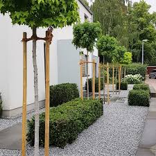 Baumreihe Grundesign Gartengestaltung In Der Region Hannover Sehnde