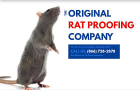 Active termite and pest control, inc has live phone personnel standing by to assist around the clock 24/7. Rodent Control Los Angeles Rat Exterminator American Rat Control