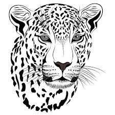 Free Free 314 Snow Leopard Svg SVG PNG EPS DXF File