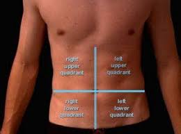 This article describes the anatomy of the female breast and mammary glands, including the blood supply and innervation. Kessingertabbetha Anatomy Quadrants Human Anatomy Physiology 1 Most Of The Liver Is In Right Upper Quadrant But A Small Part Is In Left Upper Quadrant