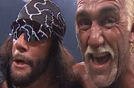 Meowcho Man Randy Savage likes the brushy brushes : r/cats