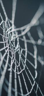 Maybe you would like to learn more about one of these? Minimal Halloween Iphone Wallpaper Pack