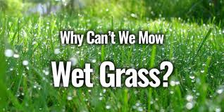 Sep 16, 2020 · simple tips to effectively mow tall grass raising the deck. 6 Common Problems Of Mowing Thick And Long Grass Cut Grass Pro