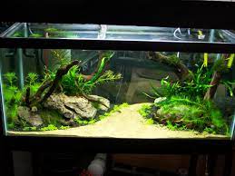 If you are still confused, you can see lots of examples spread on the internet and don't forget to place your aquarium in a place protected from direct sunlight. Aquascape Aquarium Design Ideas 22 Meowlogy Style Aqua