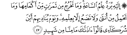 Should not its verses be explained! Surat Fussilat 41 47 54 The Noble Qur An Ø§Ù„Ù‚Ø±Ø¢Ù† Ø§Ù„ÙƒØ±ÙŠÙ…