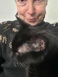 Hi all! I just wanted to introduce myself and share a photo I took