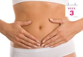 Huge changes happen every week because they only last 63 days! 3 Weeks Pregnant Symptoms Baby Size Body Changes More