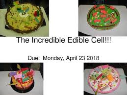 We did not find results for: A Eukaryotic Cell Model Ppt Download