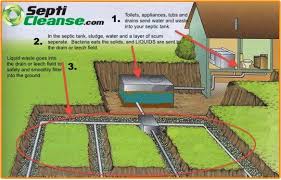 How do septic tanks work? You Have A Septic Tank Now What Septicleanse Review Septic Tank Septic System Installation Septic Tank Design