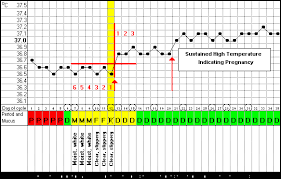 Described Temperature If You Are Pregnant Temperature After