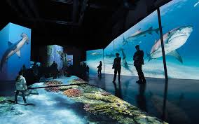 Bishop Museum Of Science And Nature Hours Planet Shark Predator Or Prey Exhibit At The Bishop Museum