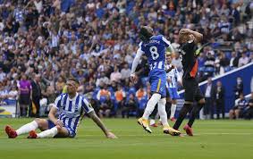 Brighton & hove albion v everton. Hqchyffpp1 Oxm