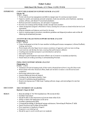 Support Senior Analyst Resume Samples Velvet Jobs