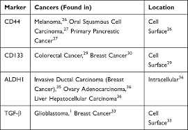 Often, cancer cells have certain molecules called cancer cells suppress the immune system. The Role Of Stem Cells In Cancer Progression And Therapy Ott