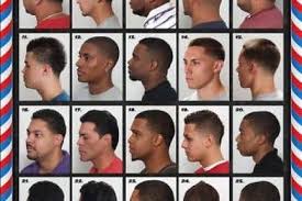 Haircut Chart Men Skushi