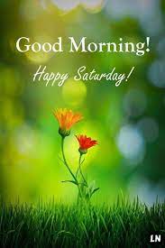 No work, no school, no stress, just a whole day for you to relax and do nothing at all. 60 Good Morning Saturday Images With Beautiful Quotes Littlenivi Com