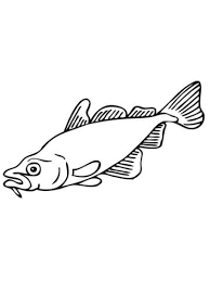 coloriage poisson carpe coloriages a imprimer gratuits de citrouille
