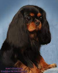 Pin By Carolyn Brown On Cavalier King Charles Cavalier Spaniel Puppy King Charles Dog Cavalier King Charles