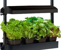 Sunblaster Micro T5 Grow Light Garden Black Wholesale Growers Direct