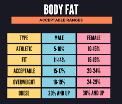 5 Best Online Body Fat Calculator To Calculate Body Fat