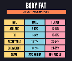 5 best online body fat calculator to calculate body fat