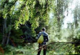 19.05.2021 · mimpi menuangkan air / menurut mitos dan arti mimpi minum air putih menuru ramalan primbon dan penjelasan pakar psikologi terkait intrepretasinya tentang kehidupanmu dan. Mengapa Mimpi Tersesat Mengapa Bermimpi Tersesat Di Kota