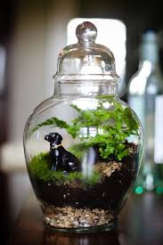 Eight Oaks Terrariums Pet Memorial Garden Mini Garden Memorial Garden