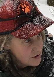 Dave Anderson's Forest Journal: 'Half of wildlife tracking is knowing where  to look … the other half is looking'