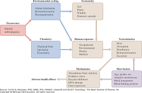 toxic effects of metals casarett doulls toxicology the