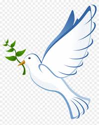 Peace Be Upon You Peace Dove Png Transparent Background Clipart 848060 Pikpng White dove, domestic pigeon columbidae release dove squab dove, dove transparent background png clipart. peace dove png transparent background