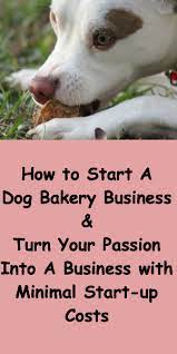 Pin On For The Puppies