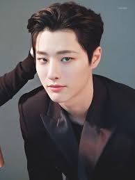 Pin By Afnansathak On Woodz Cute Asian Guys Kpop Idol Korean Artist