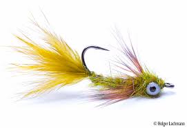 Tim is a tfo ambassador based out of hockessin, delaware. The One Fly It S The One Fly In Which We Put All Our Confidence