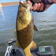 Aaron Shenk (@shenkdad) • Instagram photos and videos