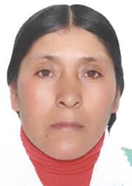 Ingresos de Otorongos Elecciones 2022