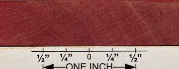 Image result for Berchemia zeyheri