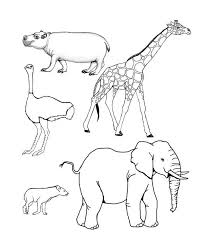 Html embed code for sharing on your website realistic coloring sheets. African Savanna Animals Drawings Pets Lovers