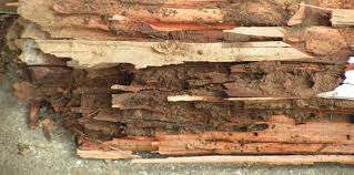 Check spelling or type a new query. Home Inspectors Thunder Bay On