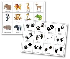 Apprendre à dessiner les animaux sauvages. Jeu De Memoire Des Empreintes Des Animaux D Afrique Memory Empreintes