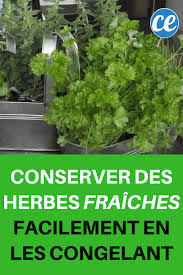 L'avantage de conserver la peau est que vous pouvez placer directement votre banane entière non bonne nouvelle, vous pouvez aussi congeler vos préparations à la banane comme des gâteaux (gâteaux moelleux aux chocolats et aux bananes. Conserver Des Herbes Fraiches Facilement En Les Congelant
