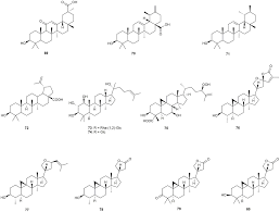 Image result for Antherotoma senegambiensis