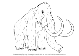 Maybe you would like to learn more about one of these? Learn How To Draw A Woolly Mammoth Other Animals Step By Step Drawing Tutorials