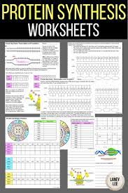 T g t transcription mrna: Trna And Mrna Transcription Worksheet With Answer Key Ribosomes Dna Rna Mrna Trna Linear Equation Word Problems Worksheet With Answers