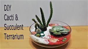 Our guide will teach you how to grow and care for succulents. Diy Succulent Cacti Terrarium Youtube
